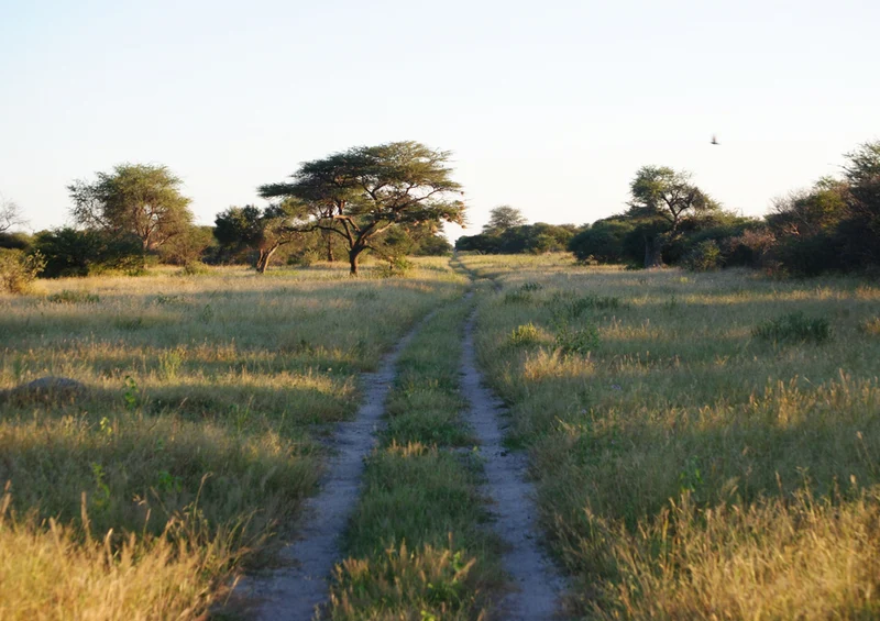 83685 Natur - Namibia Puzzle
