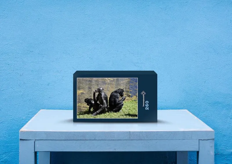 83477 Tierwelt - Bonobo Affen Puzzle