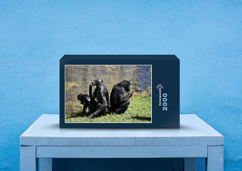 83477 Tierwelt - Bonobo Affen Puzzle