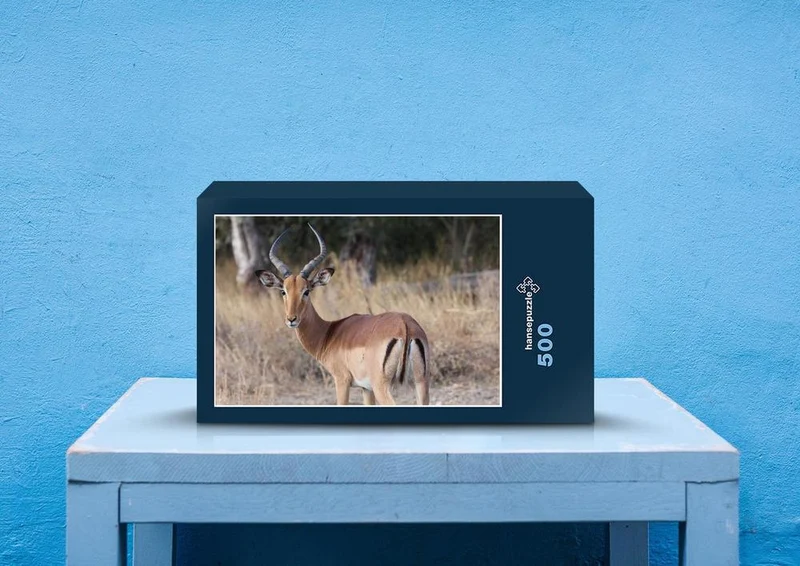 83275 Natur - Antilope Puzzle