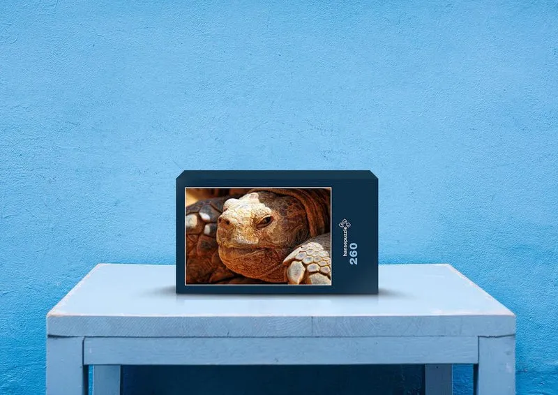 70787 Tierwelt - Schildkröte Puzzle