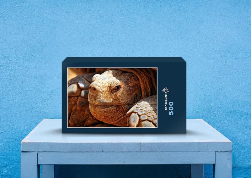 70787 Tierwelt - Schildkröte Puzzle
