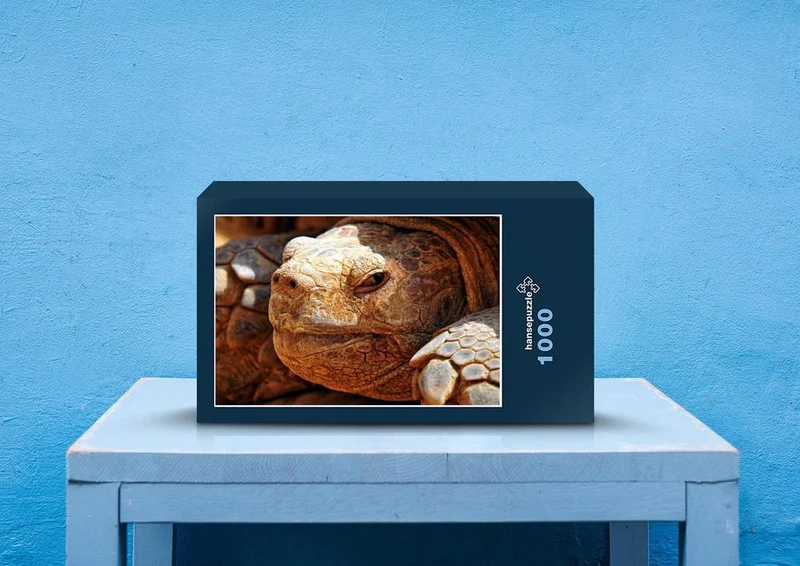 70787 Tierwelt - Schildkröte Puzzle
