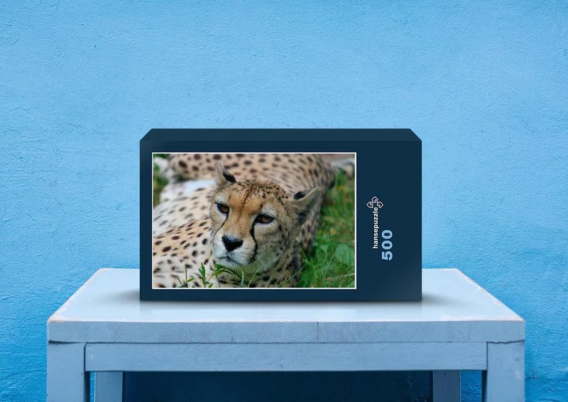 83563 Tierwelt - Gepard Puzzle