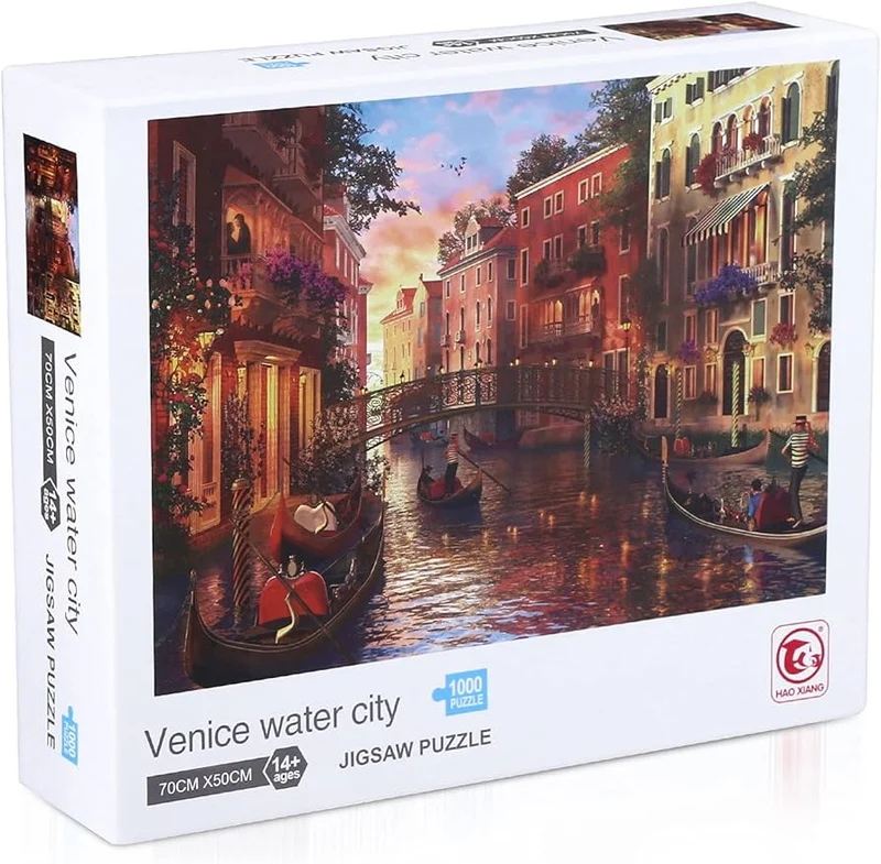 PFG Venice Water City (Usage/Used - PUZZLES FOR GOOD)