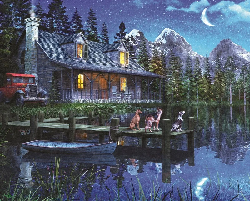 PFG Moonlit Night, Dominic Davison (1000pcs) (Usage/Used - PUZZLES FOR GOOD)