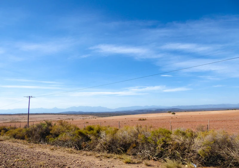 81960 Natur - Steppe Puzzle