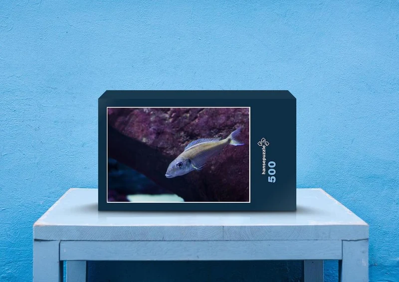 83056 Hintergründe - Aquarium Puzzle