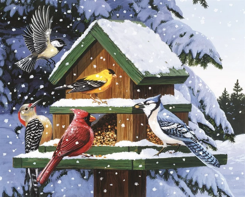 PFG Winter Feeder, William Vanderdasson (1000pcs) (Usage/Used - PUZZLES FOR GOOD)