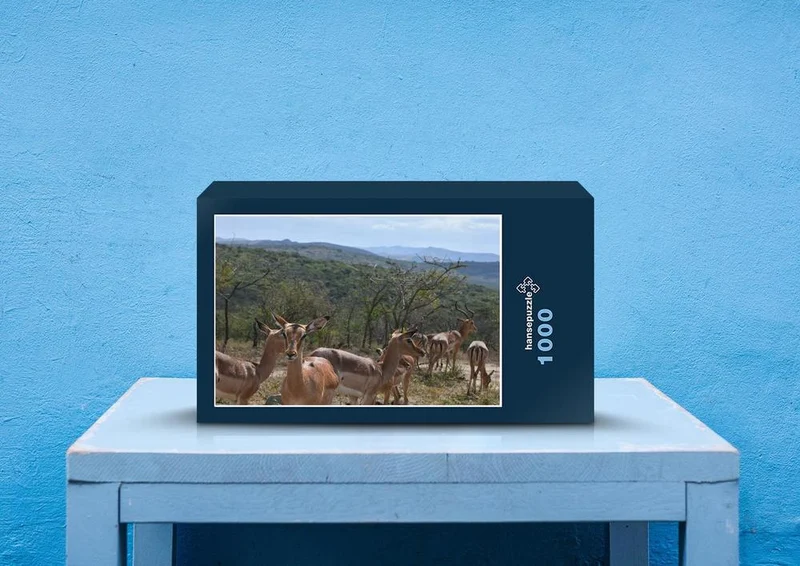 70849 Tierwelt - Springbock Puzzle