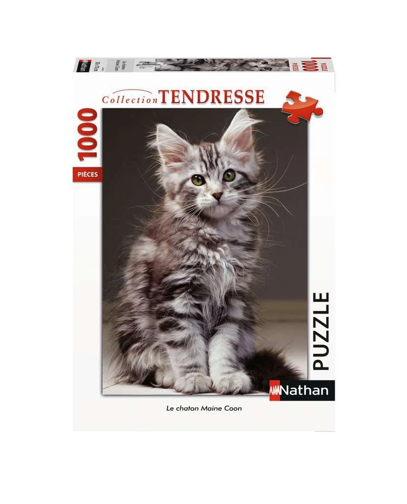Collection Tendresse - Le chaton Maine Coon (1000pcs)