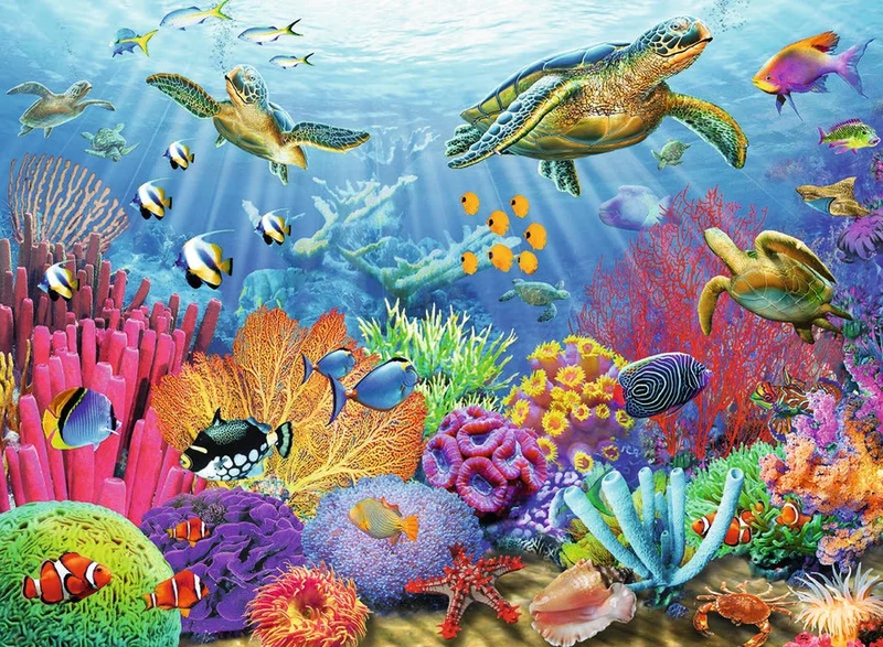 DMG Ravensburger Tropical Waters, Adrian Chesterman (DAMAGED BOX)