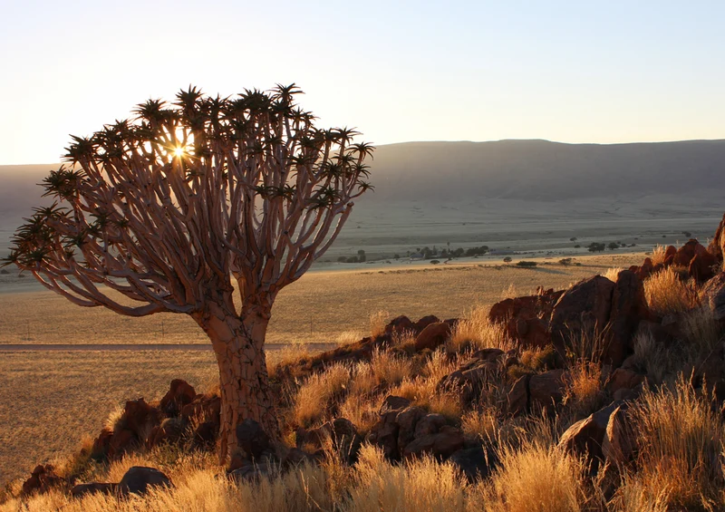83580 Natur - Namibia Puzzle