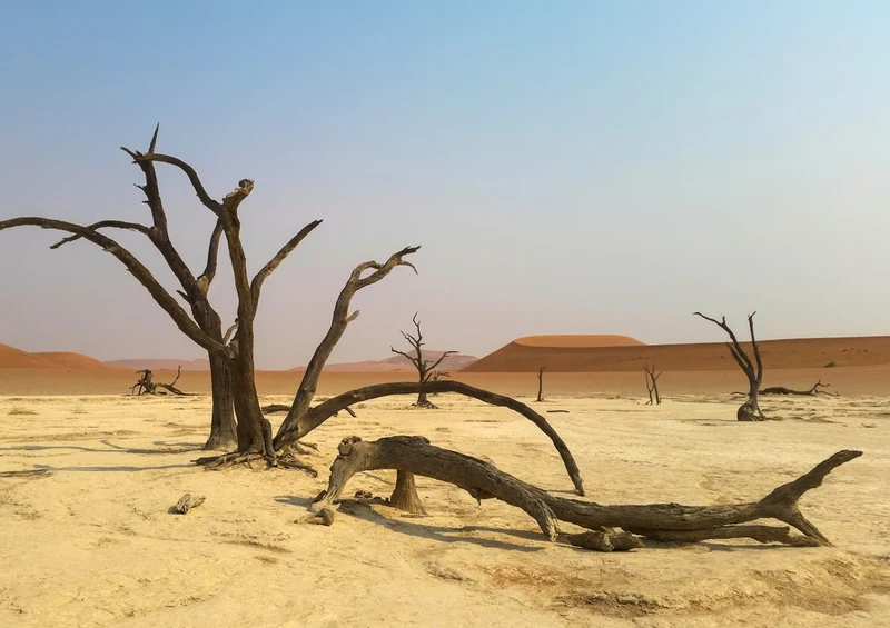 83588 Natur - Namibia Puzzle