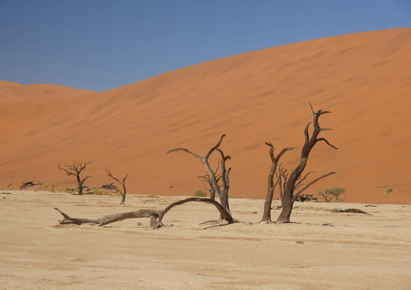 83148 Natur - Deadvlei Puzzle