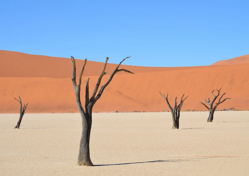 84394 Natur - Sossusvlei Puzzle