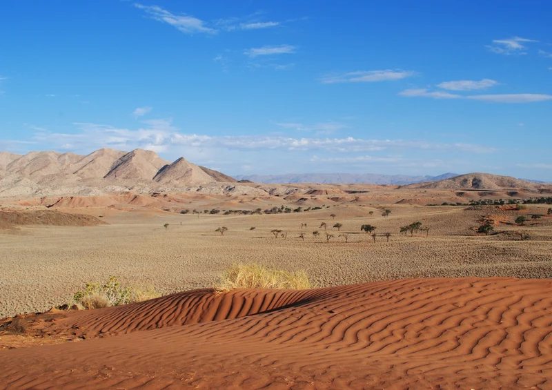 84247 Natur - Afrika Puzzle