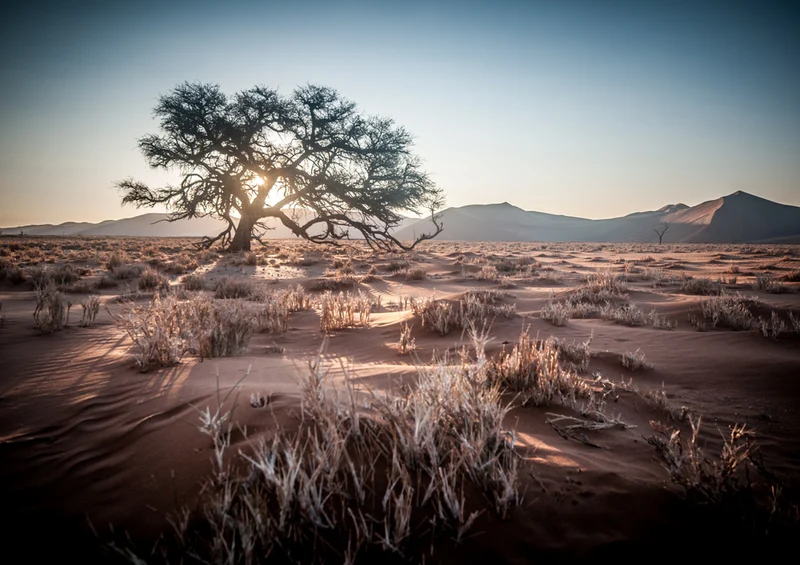 84533 Natur - Namibia Puzzle