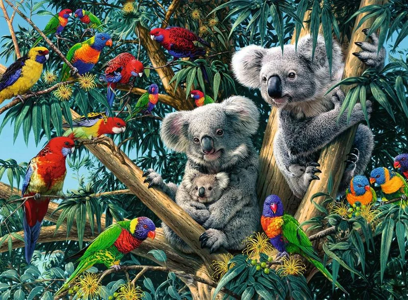DMG Ravensburger Koalas In A Tree (500pcs) (DAMAGED BOX)