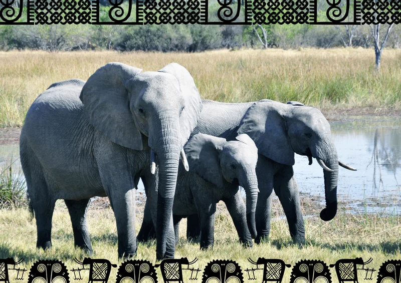 84603 Natur - Elefant Puzzle