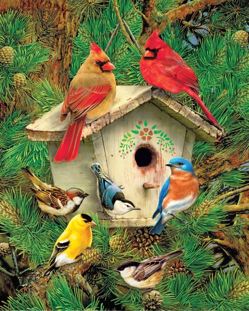 PFG Feathered Retreat, Greg Giordano (1000pcs) (Usage/Used - PUZZLES FOR GOOD)