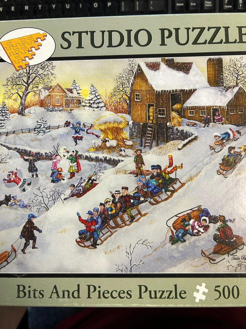 PFG Downhill Fun (Usagé/Used - PUZZLES FOR GOOD)