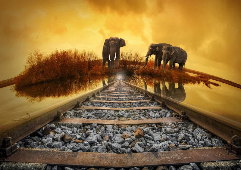 85362 Hintergründe - Afrika Puzzle