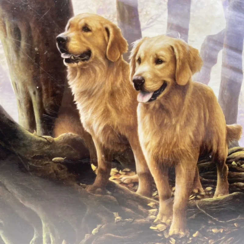 PFG Golden Forest (Usagé/Used - PUZZLES FOR GOOD)