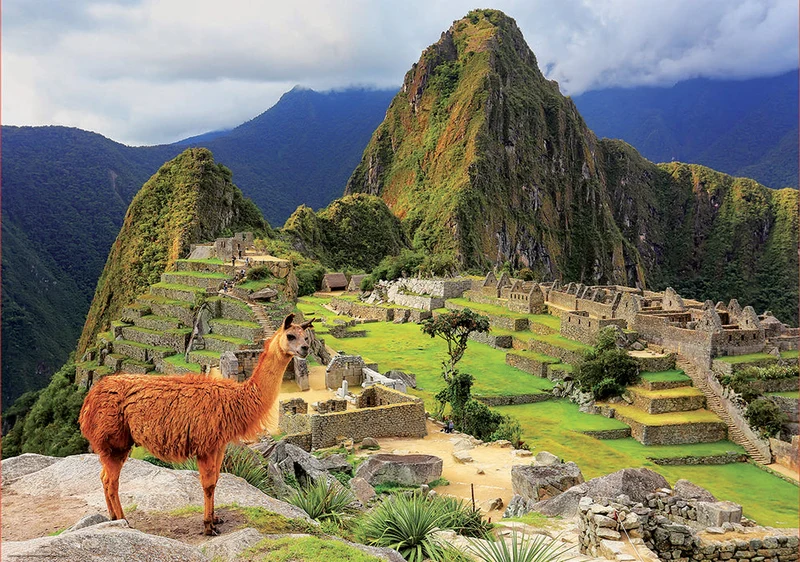 PFG Machu Picchu, Peru (Usage/Used - PUZZLES FOR GOOD)
