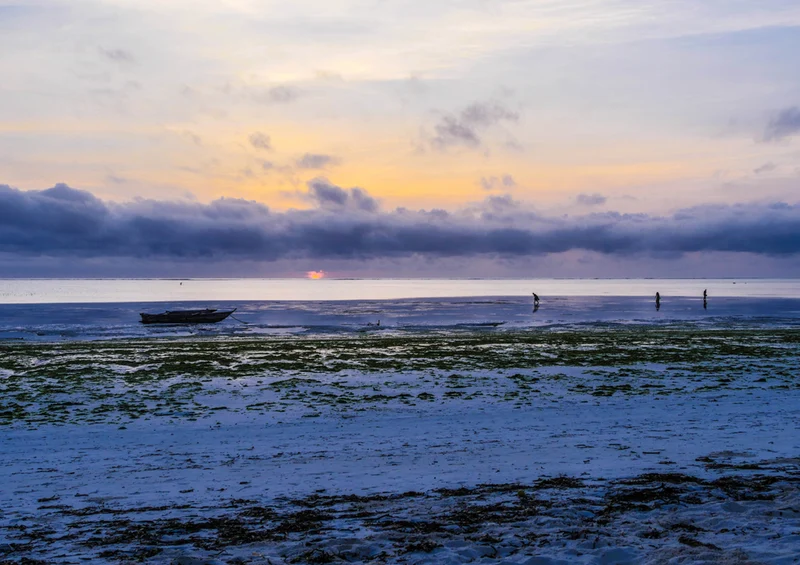 84677 Natur - Sonnenaufgang Puzzle