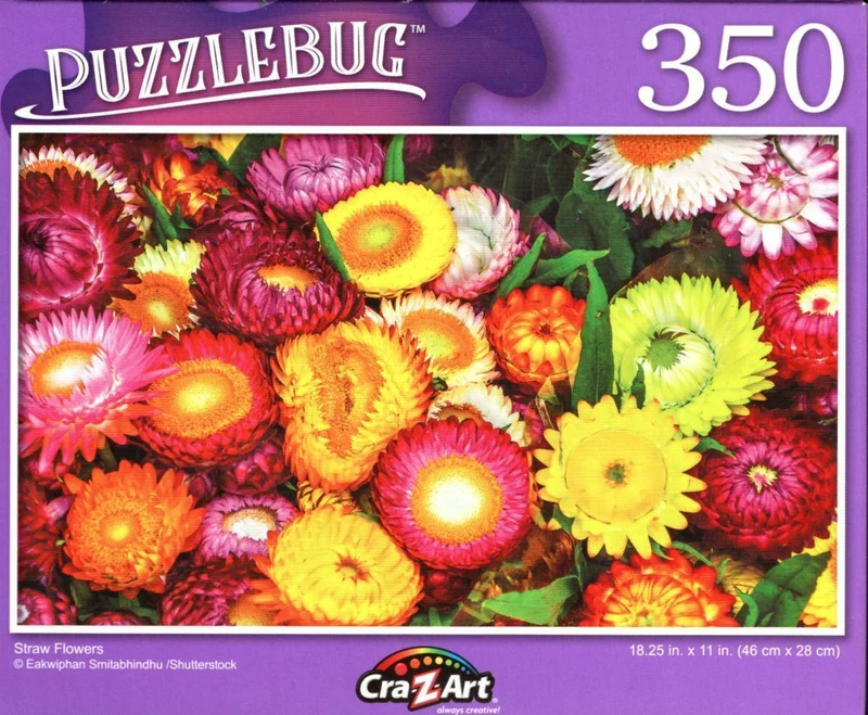 PFG Straw Flowers (Usage/Used - PUZZLES FOR GOOD)