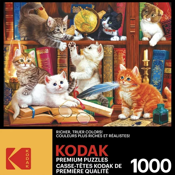 PFG Library Mischief (Usage/Used - PUZZLES FOR GOOD)