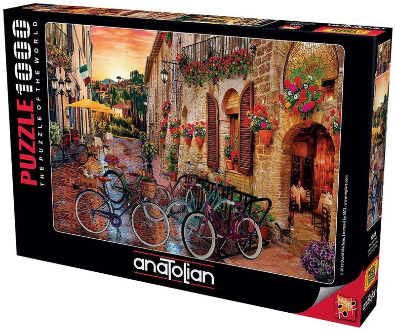 PFG Biking in Tuscany, David Maclean (1000pcs) (Usage/Used - PUZZLES FOR GOOD)