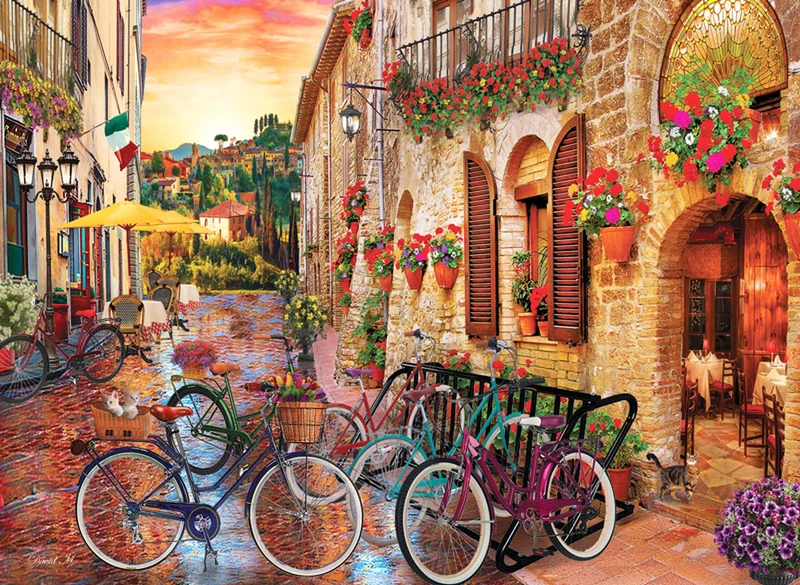 PFG Biking in Tuscany, David Maclean (1000pcs) (Usage/Used - PUZZLES FOR GOOD)