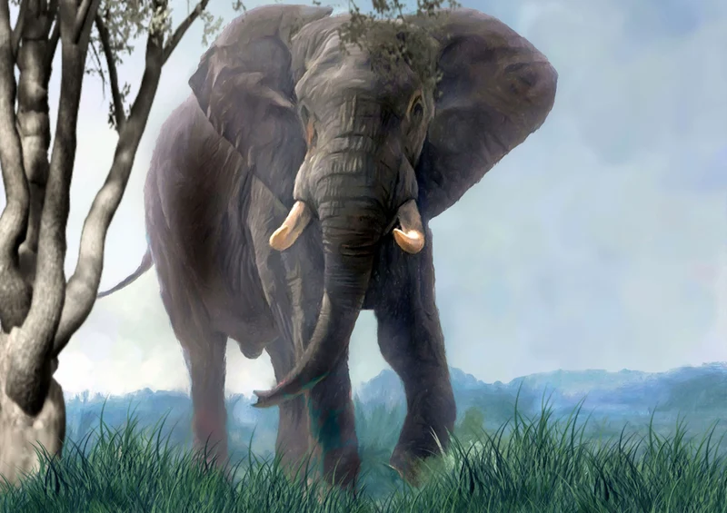 85604 Natur - Elefant Puzzle