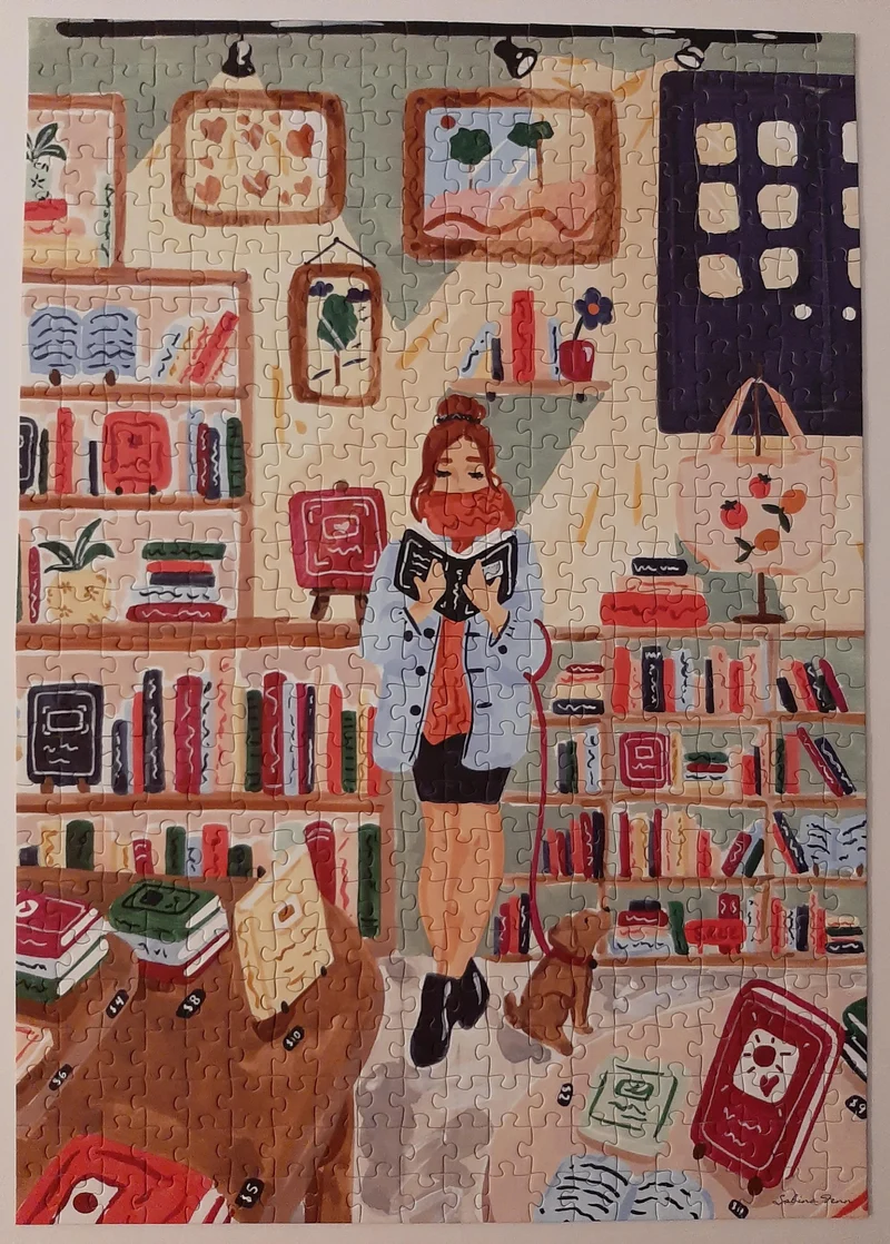 PFG One More Chapter (Usagé/Used - PUZZLES FOR GOOD)