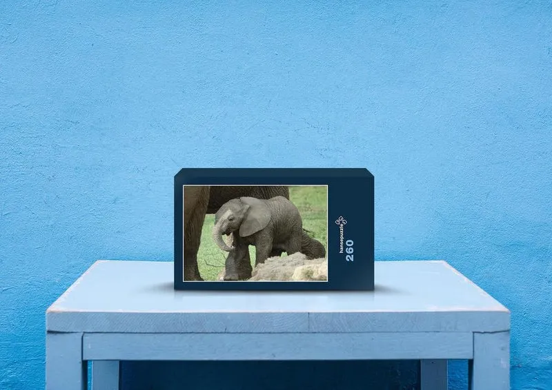 85729 Natur - Elefant Puzzle