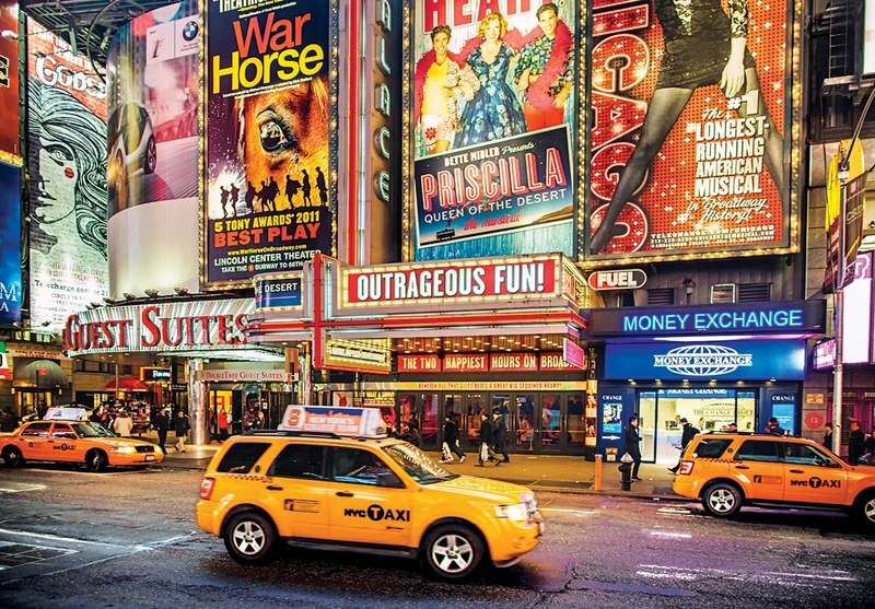 PFG Bright Lights, Big City, NYC (Usage/Used - PUZZLES FOR GOOD)