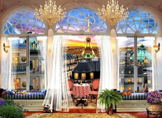 PFG Paris Roof Terrace, David Maclean (1000pcs) (Usage/Used - PUZZLES FOR GOOD)
