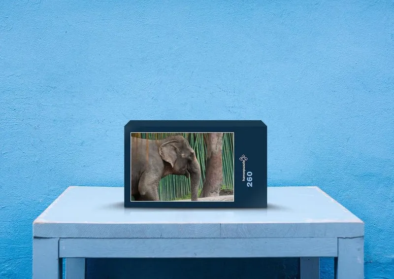 86924 Tierwelt - Elefant Puzzle