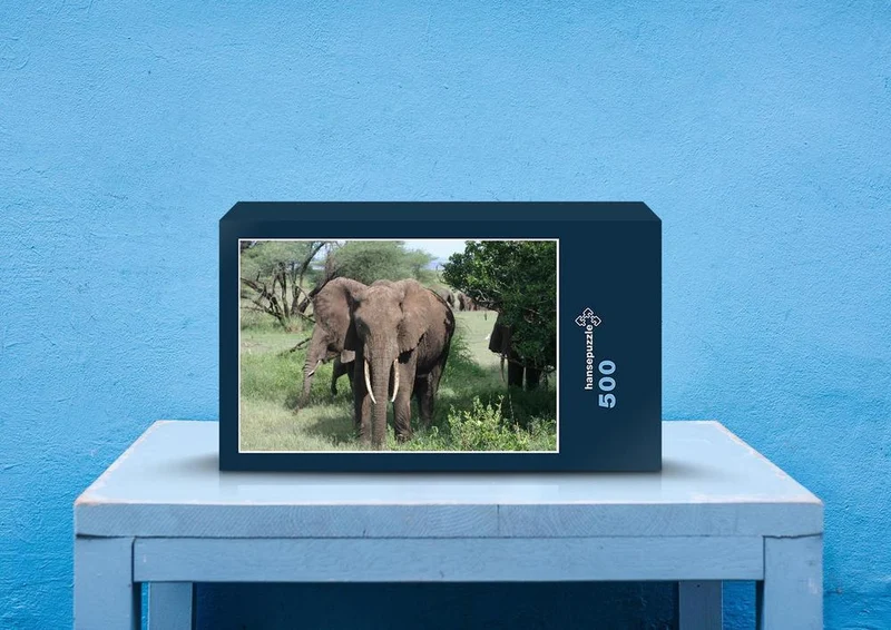 84996 Tierwelt - Elefant Puzzle
