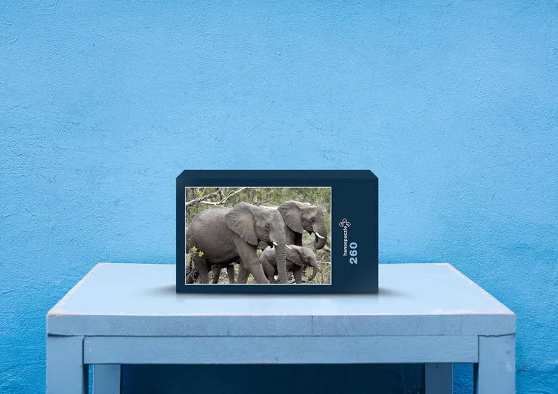 85568 Natur - Elefant Puzzle