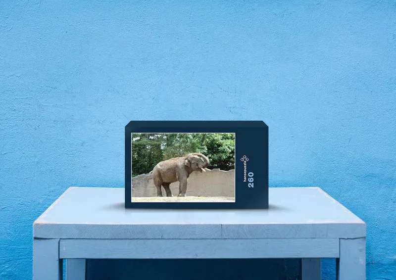 86670 Tierwelt - Elefant Puzzle
