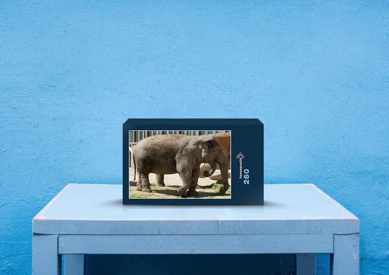 87188 Tierwelt - Elefant Puzzle