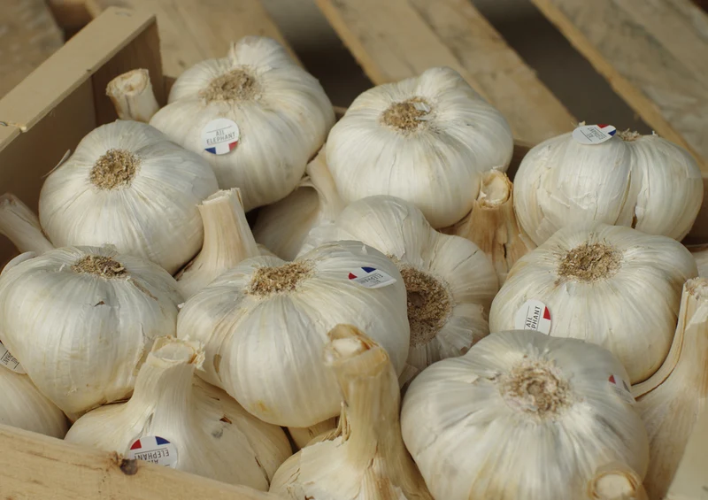 87204 Ernährung - Knoblauch Puzzle