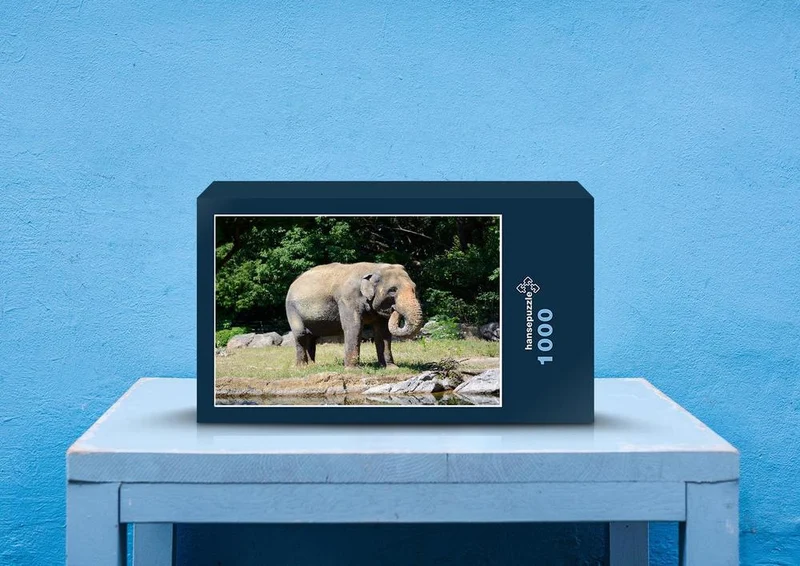 86986 Tierwelt - Elefant Puzzle