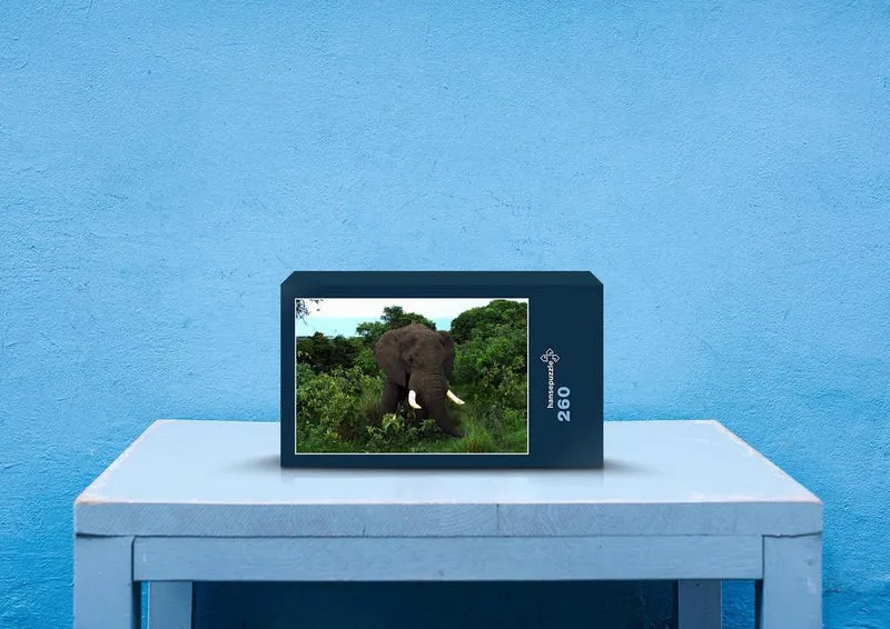 86236 Tierwelt - Elefant Puzzle