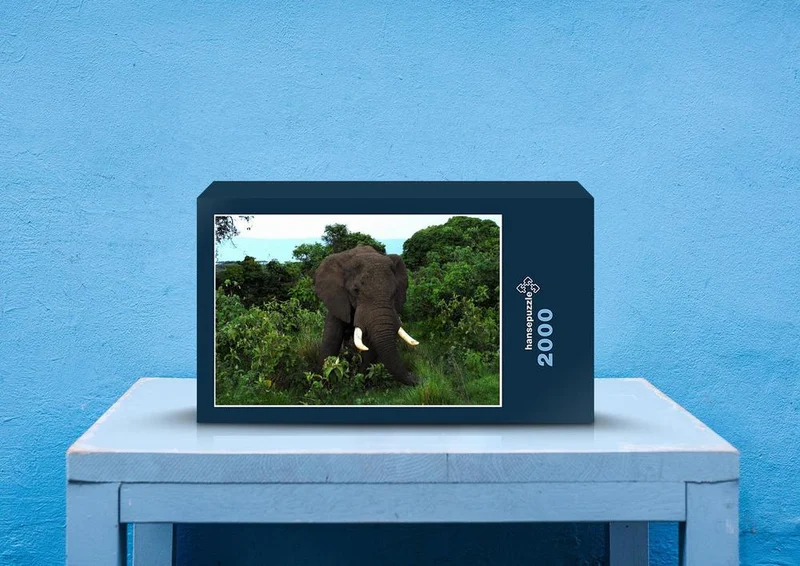 86236 Tierwelt - Elefant Puzzle