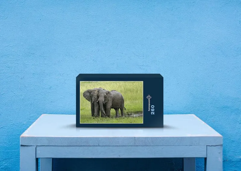 85007 Tierwelt - Elefanten Puzzle