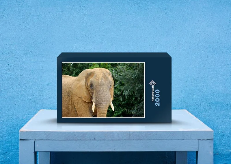 87004 Tierwelt - Elefant Puzzle